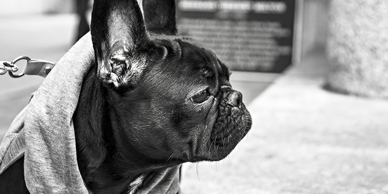 What Do You Do If You Become A Victim Of Identity Theft?