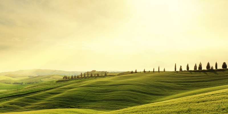 A Simple Estate Planning Checklist For A Challenging Topic