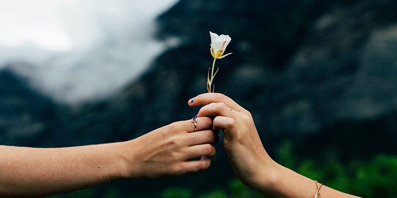 Is It A Good Idea To Borrow From Your 401(k)?