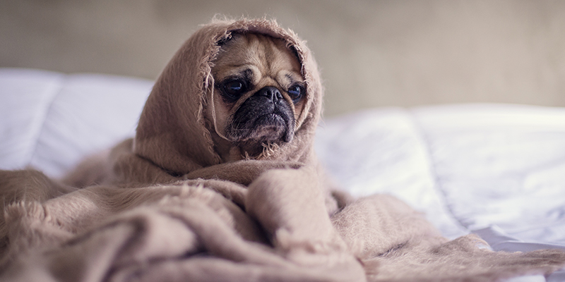 How Can You Protect Your Credit From Data Hackers?