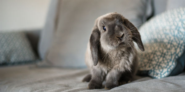 5 Things To Know About Group Insurance Discount Programs