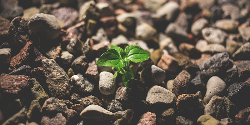 How To Make Your Emergency Fund Work Harder For You