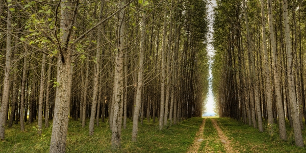 What Our Planners Would Tell Someone Just Starting Their Career