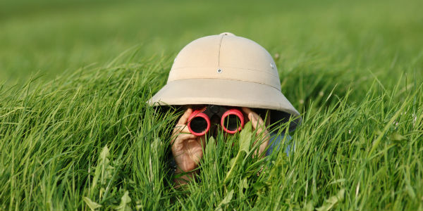 How To Find A Missing Will