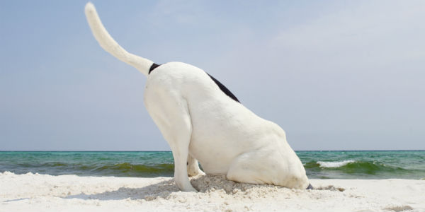 Retirement Account Loan Strategies You May NOT Have Thought About