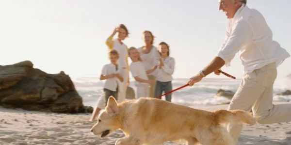 Is The Financial Tail Wagging Your Retirement Dog?