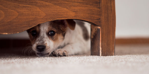 Getting A Late Start To Saving Doesn’t Have To Be Scary