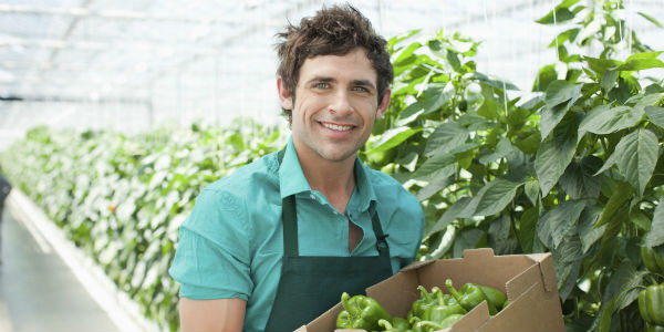 Investing 101: Understanding Your 401k Options