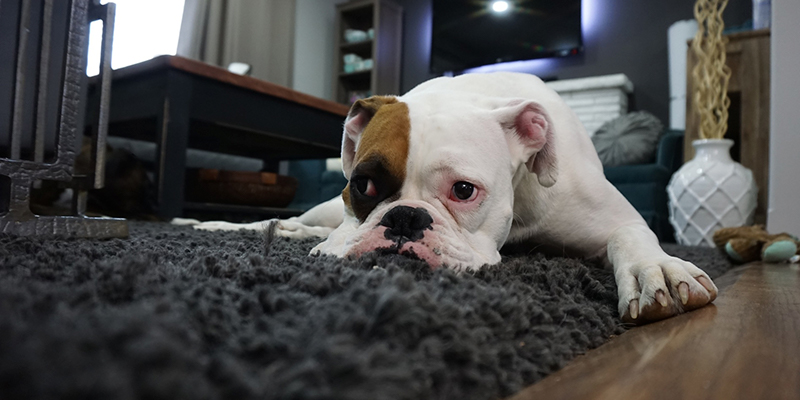 10 Home Buying Mistakes You Want To Avoid