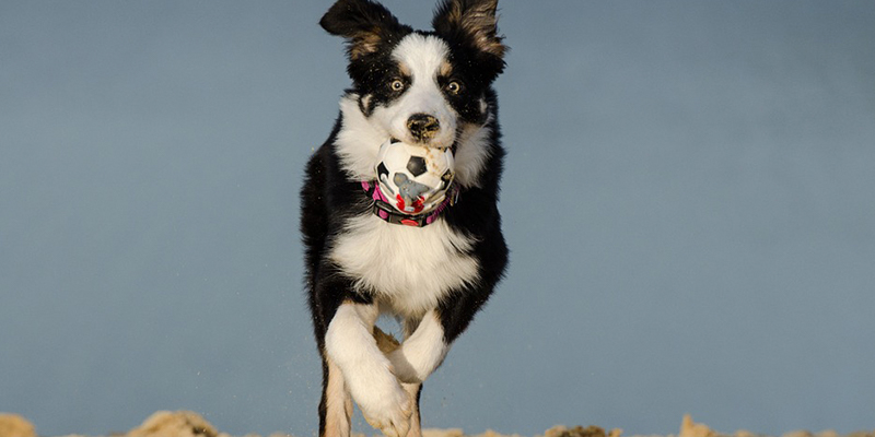 Get SMART About Your Goals