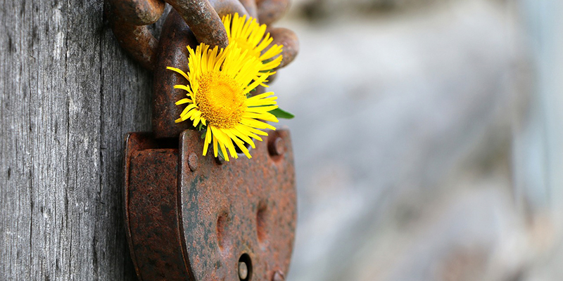 5 Things You Need to Know About Long-Term Care Insurance