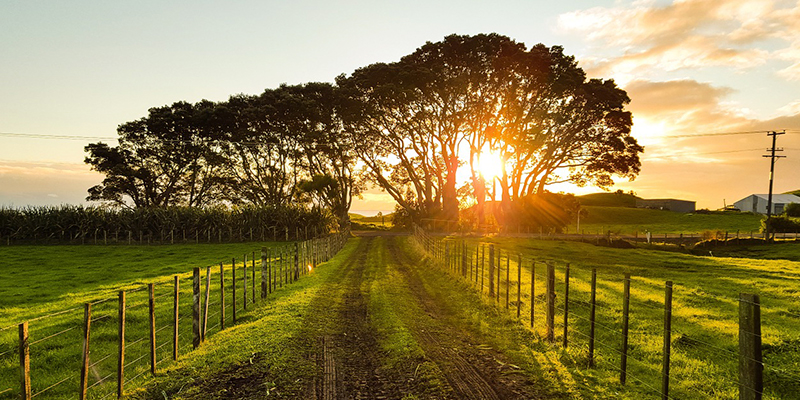 Term Versus Permanent Life Insurance: Which is Right for You