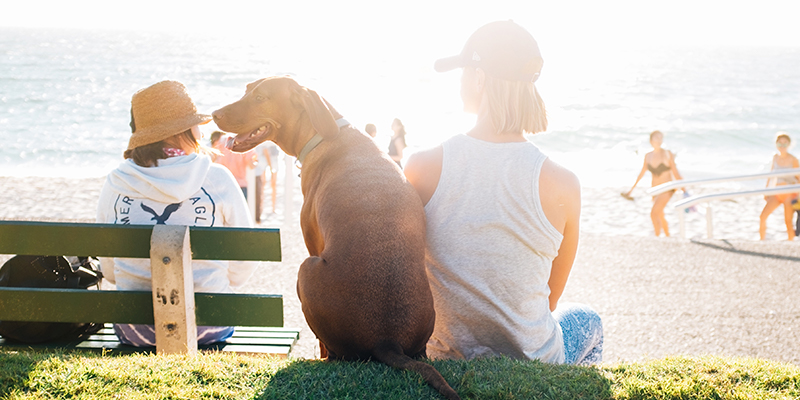 What Do You Do About Benefits If You’re Self-Employed