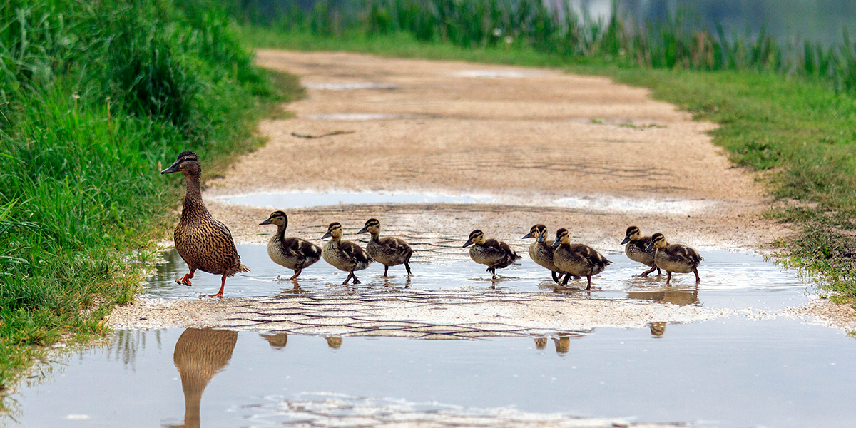 How Do I Create A Budget?