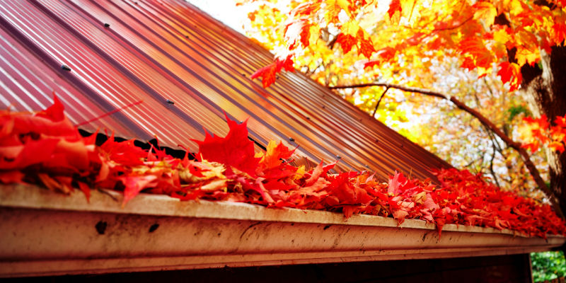 Important Home Maintenance Tasks I Do Every Fall