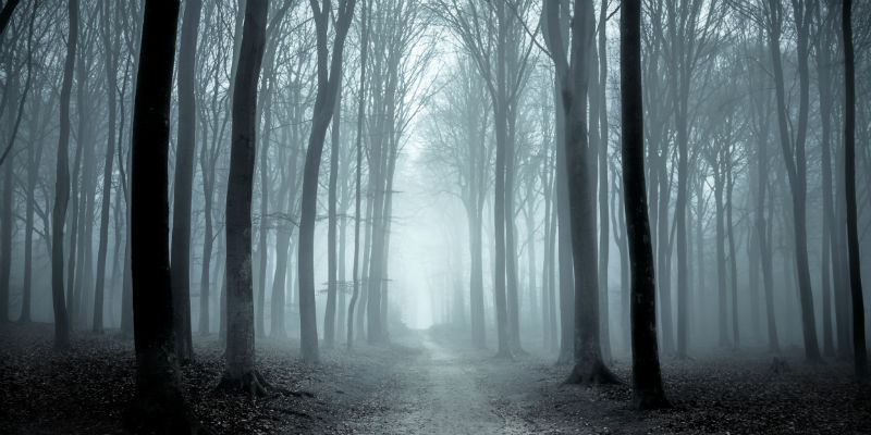 How To Escape A Financial House Of Horrors