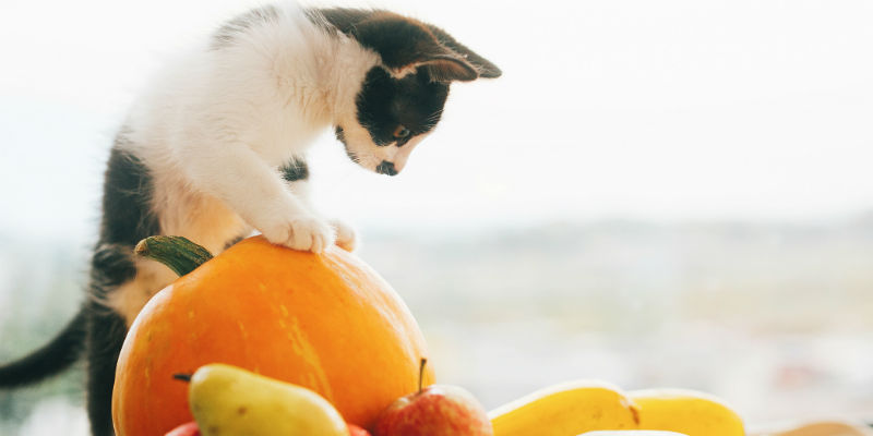 How To Use Tax Loss Harvesting To Reduce Capital Gains Taxes