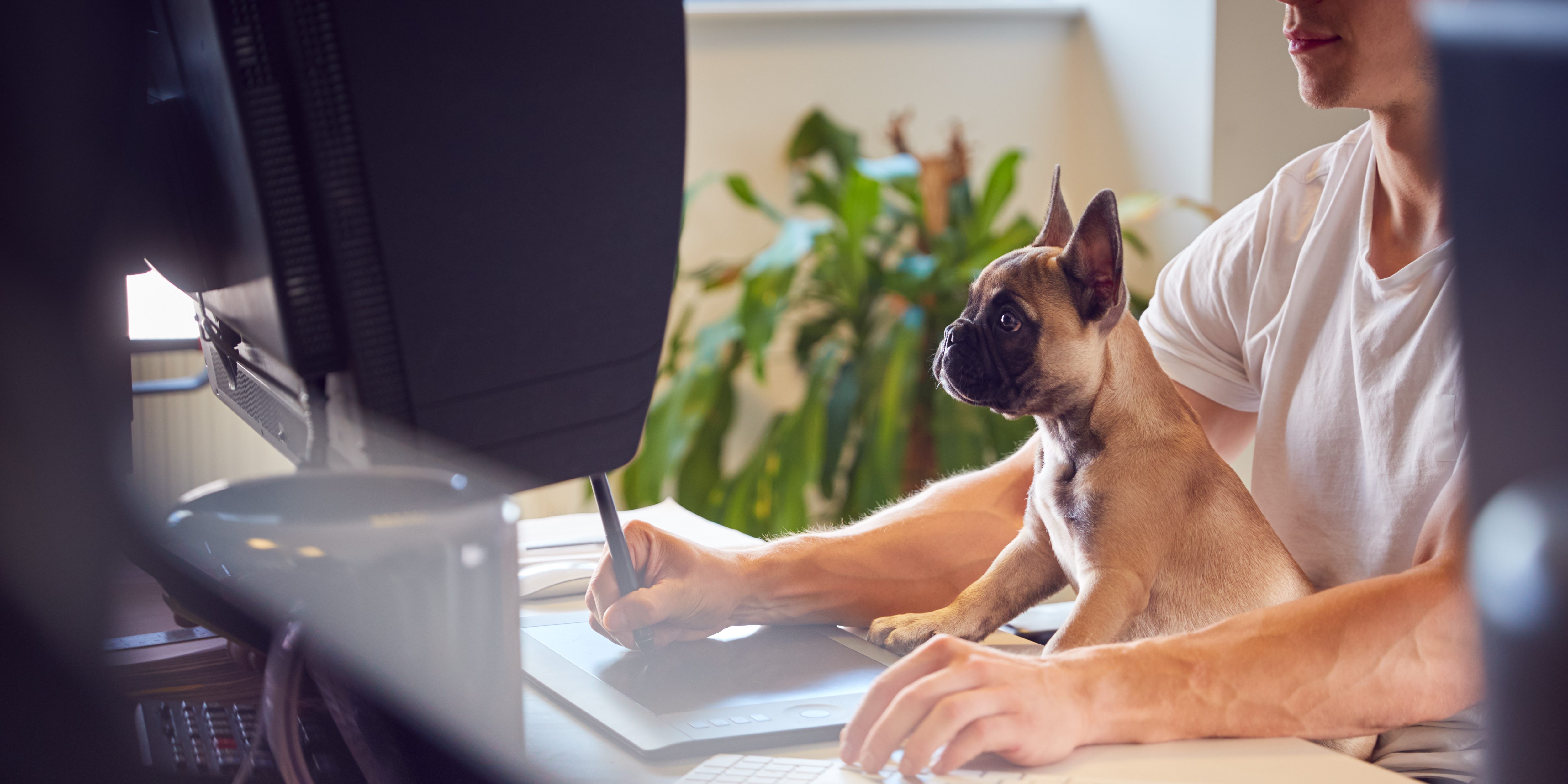 Daily Savings Calculator